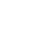 GDPR icon